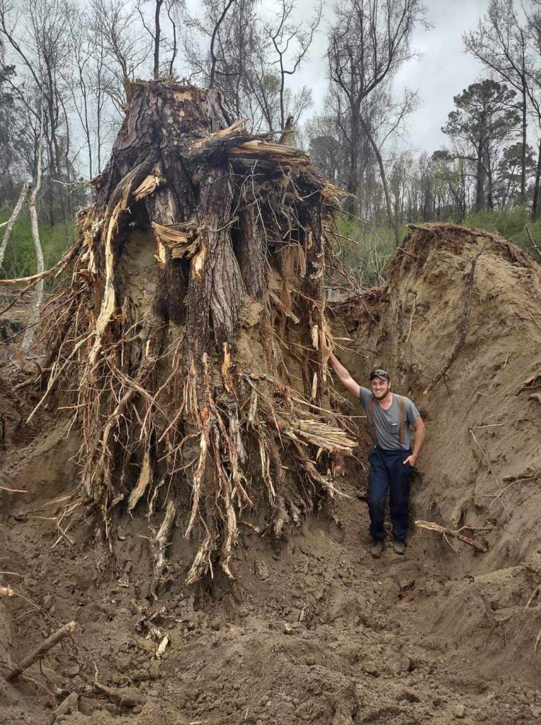 509293041 122123571332816721 1187417725127650571 n