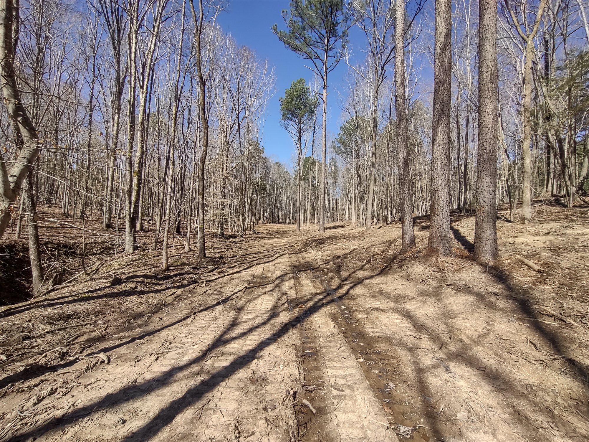 img-20230305-135136656-hdr